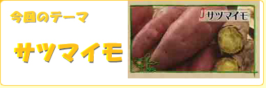 ����̃e�[�}�^�T�c�}�C��