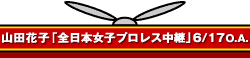 山田花子「全日本女子プロレス中継」6/17 O.A.
