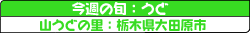 山うどの里::栃木県大田原市