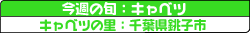Lxc̗Ftqs