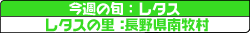 レタスの里:長野県南牧村