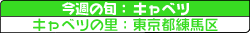 Lxc̗Fsn