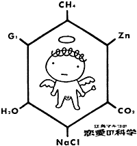 江角マキコの恋愛の科学