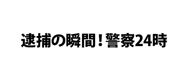 踊る！大警察24時