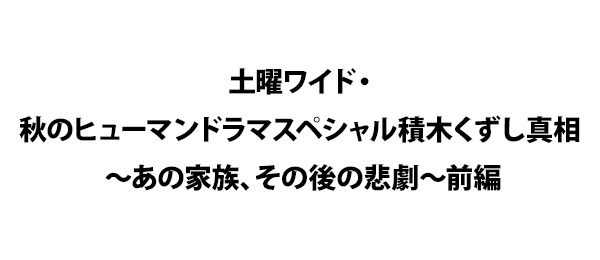 くずし あらすじ 積木