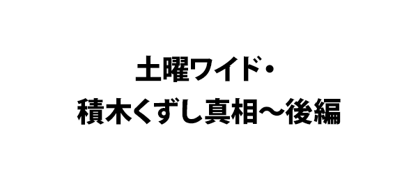 積木 くずし 真相