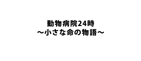 動物病院24時～小さな命の物語～