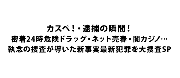 逮捕の瞬間！密着24時危険ドラッグ・ネット売春・闇カジノ・・・執念の捜査が導いた新事実最新犯罪を大捜査SP