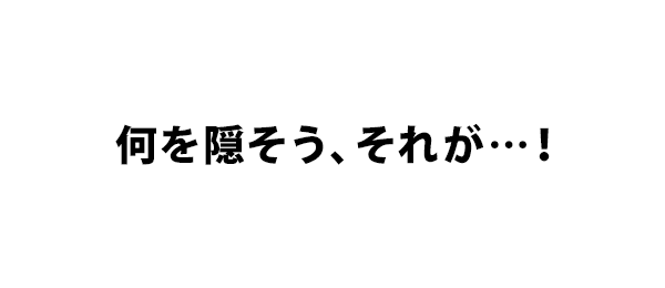 何を隠そう、それが・・・！