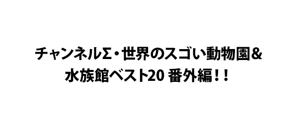 チャンネルΣ・世界のスゴい動物園＆水族館ベスト20 番外編！！