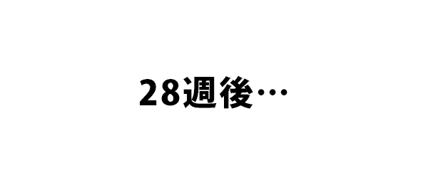 28週後…