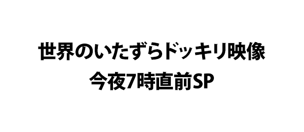 世界のいたずらドッキリ映像今夜7時直前sp フジテレビ 世界のいたずらドッキリ映像今夜7時直前sp フジテレビ