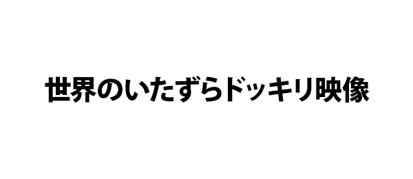 世界のいたずらドッキリ映像