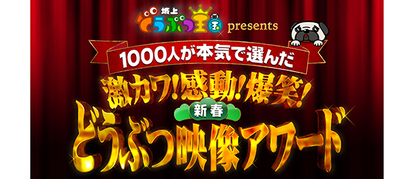 1000人が本気で選んだ！激カワ！感動！爆笑！新春どうぶつ映像アワード