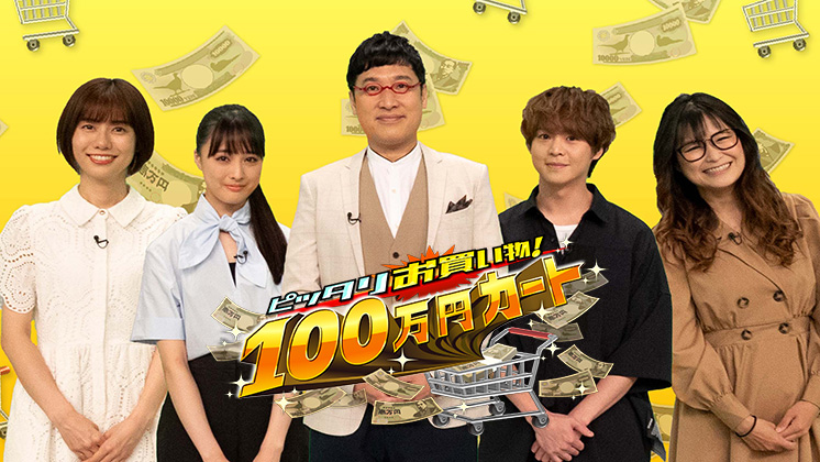 ピッタリお買い物！100万円カート