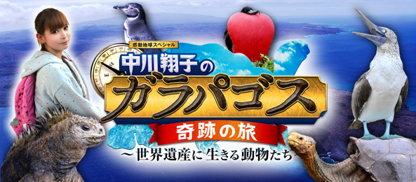 中川翔子のガラパゴス 奇跡の旅 世界遺産に生きる動物たち フジテレビ 中川翔子のガラパゴス 奇跡の旅 世界遺産に生きる動物たち フジテレビ