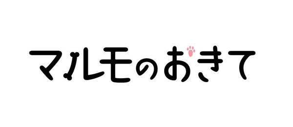 マルモのおきてスペシャル 2014