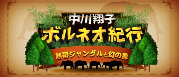 感動地球スペシャル 中川翔子ボルネオ紀行 熱帯ジャングルと幻の象 フジテレビ