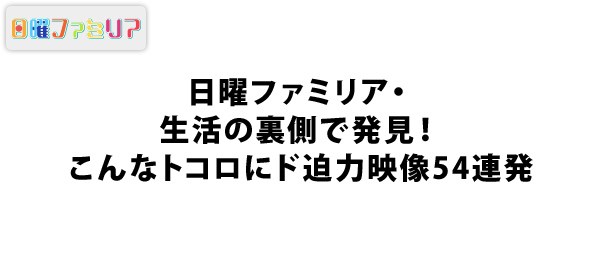 生活の裏側で発見！こんなトコロにド迫力映像54連発