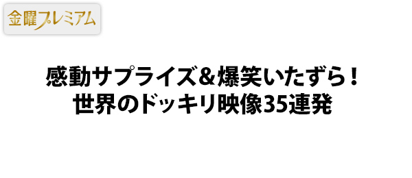 感動サプライズ＆爆笑いたずら！世界のドッキリ映像35連発