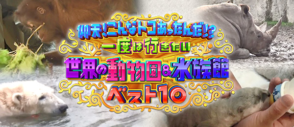 仰天！こんなトコあったんだ！？世界の動物園＆水族館ベスト10