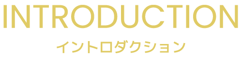 INTRODUCTION