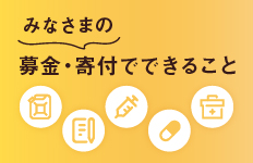 Fnsチャリティキャンペーン フジテレビ Fnsチャリティキャンペーン フジテレビ