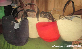 2015年度支援国「マダガスカル共和国」支援報告