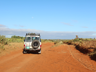 現地取材レポート