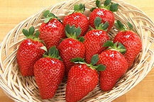 イメージ３