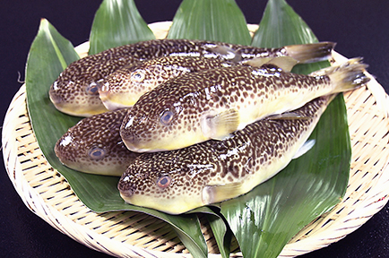 飯岡ふぐ鍋祭り