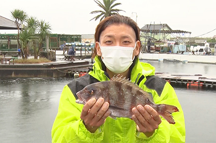 高級魚の釣り堀