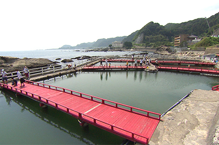 磯釣り気分の釣り堀