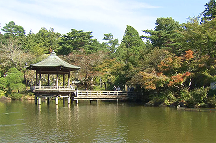 成田山公園紅葉まつり