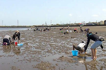 設備も充実！富津海岸潮干狩り