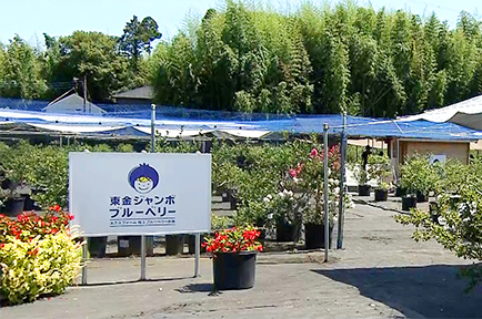 イメージ１