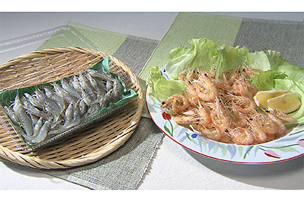 耕作放棄地でエビを養殖