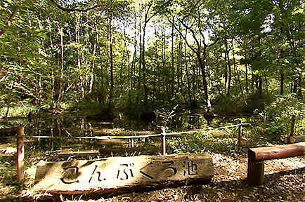 市民で育てる100年の森