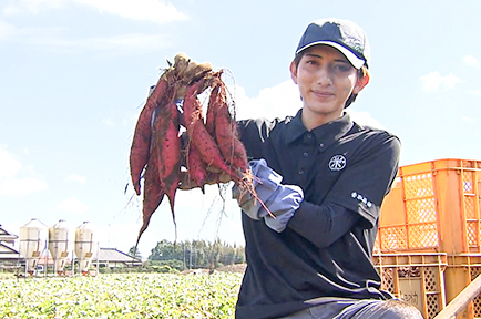 SNSで発信！成田産サツマイモ