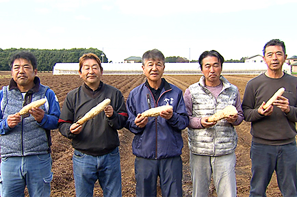 粘りと風味が自慢！多古やまと芋