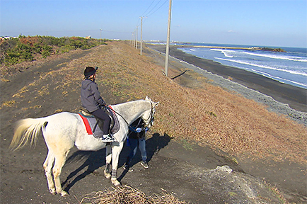 海岸を散策！乗馬体験