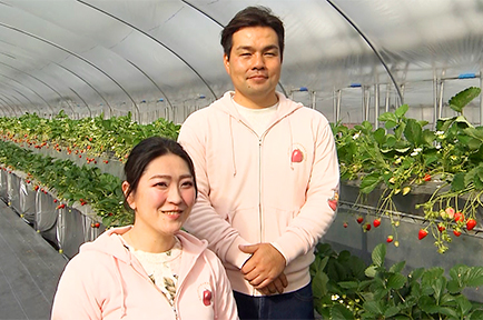 愛妻のために始めたいちご園