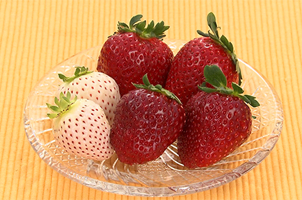 イメージ２