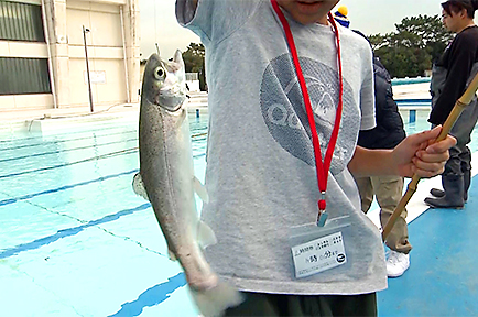 プールで釣りを楽しむ