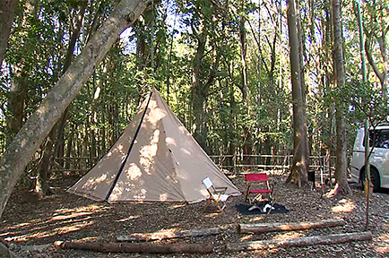 子ども連れ専用のキャンプ場