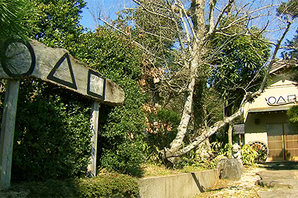 里山の１組限定カフェ