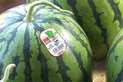 イメージ３