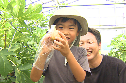 美味！いちじく狩り体験