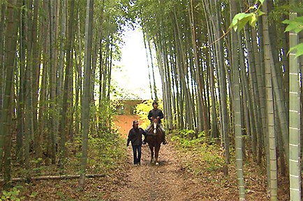 非日常を楽しむ！癒しの乗馬体験