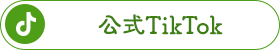公式Tiktok